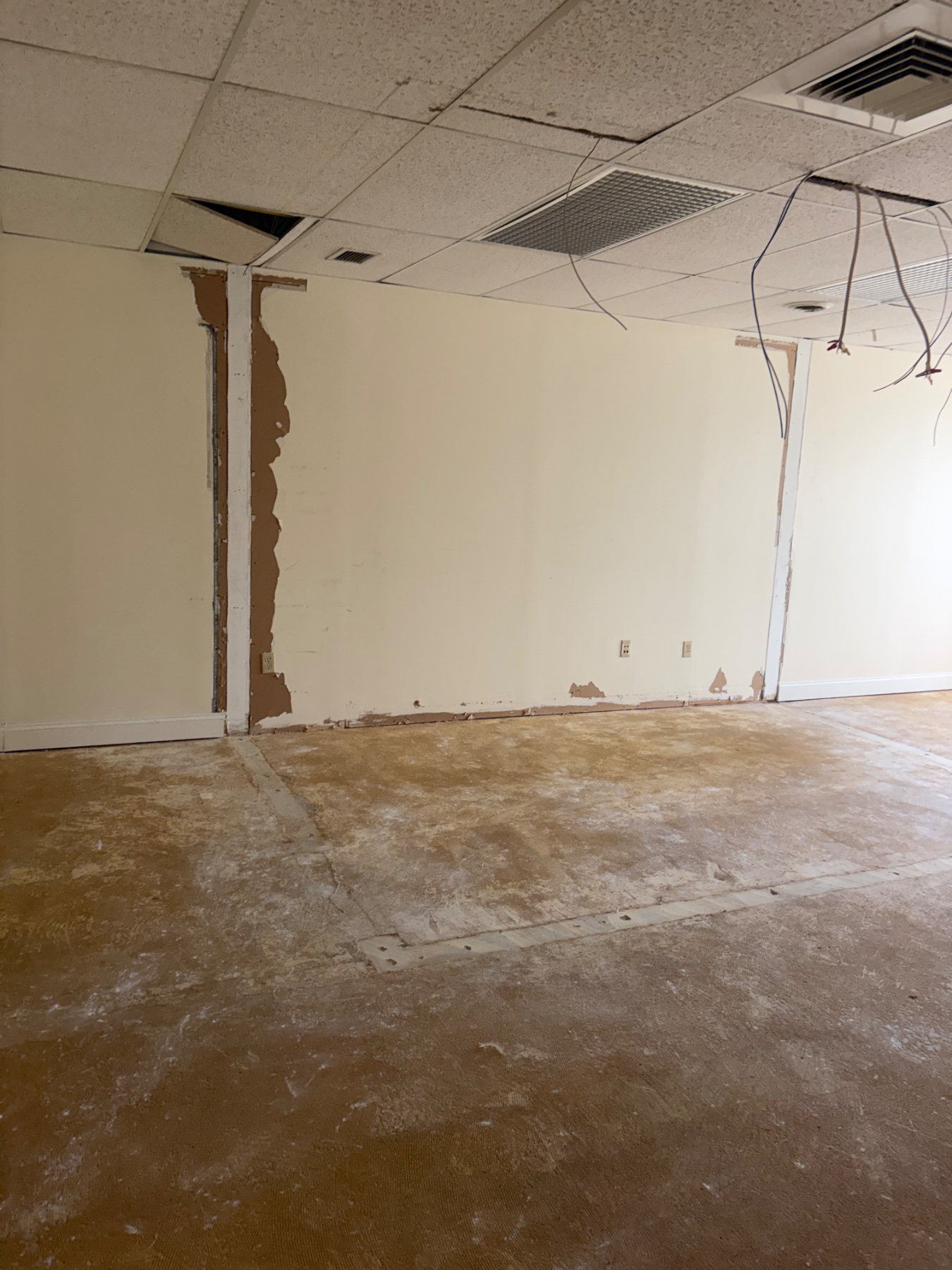 Post demo and carpet removal.