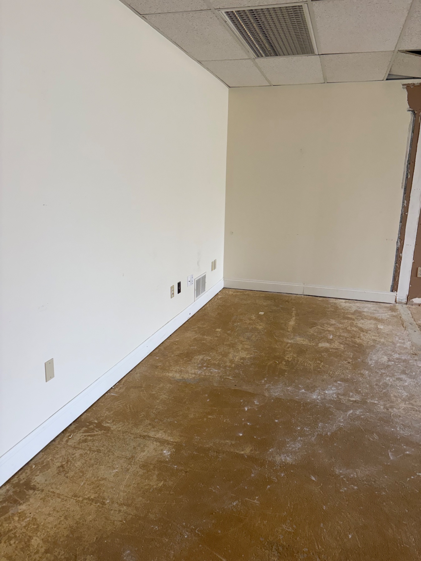 Post demo and carpet removal.