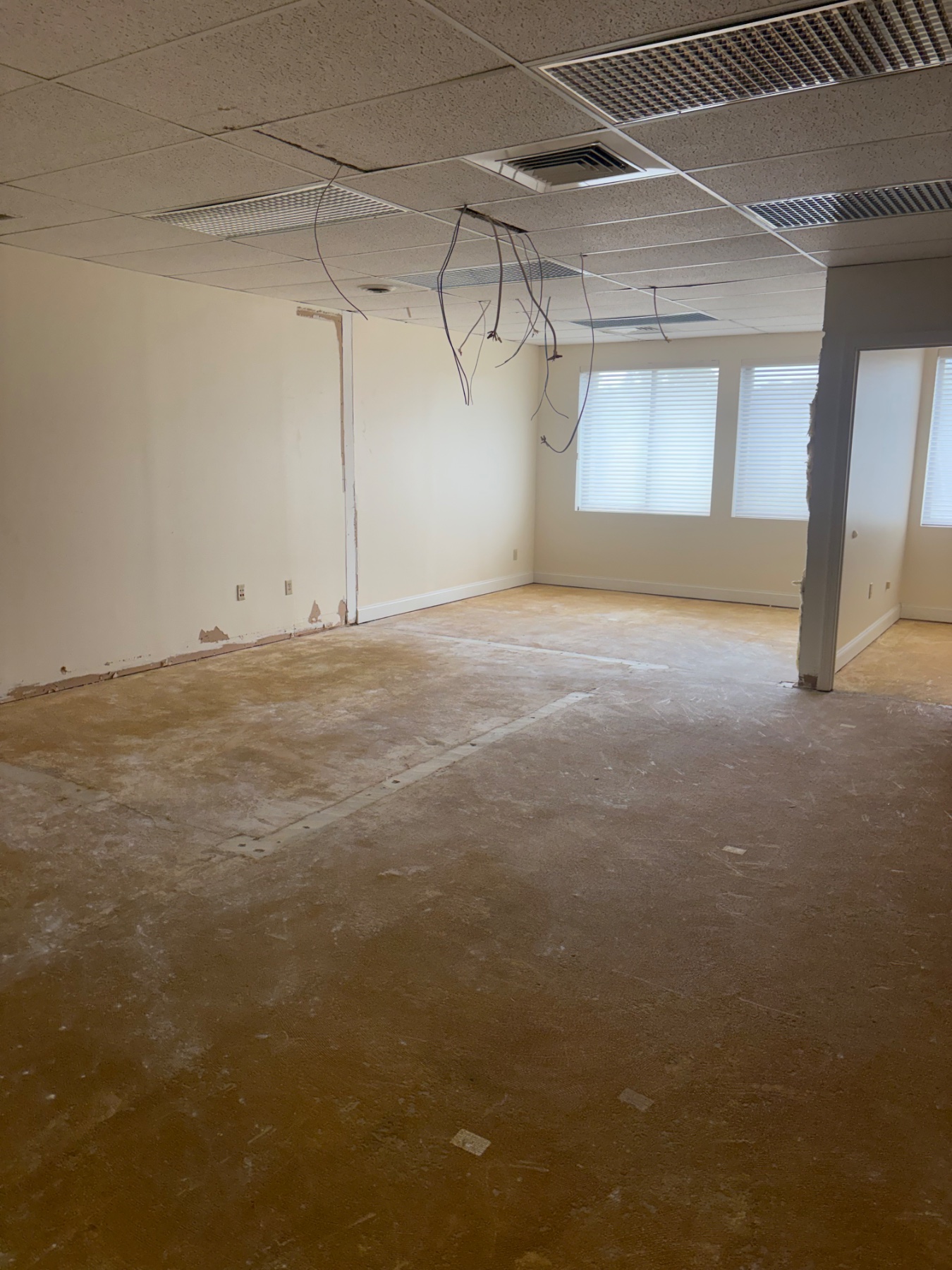 Post demo and carpet removal.